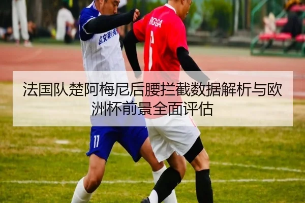 法国队楚阿梅尼后腰拦截数据解析与欧洲杯前景全面评估